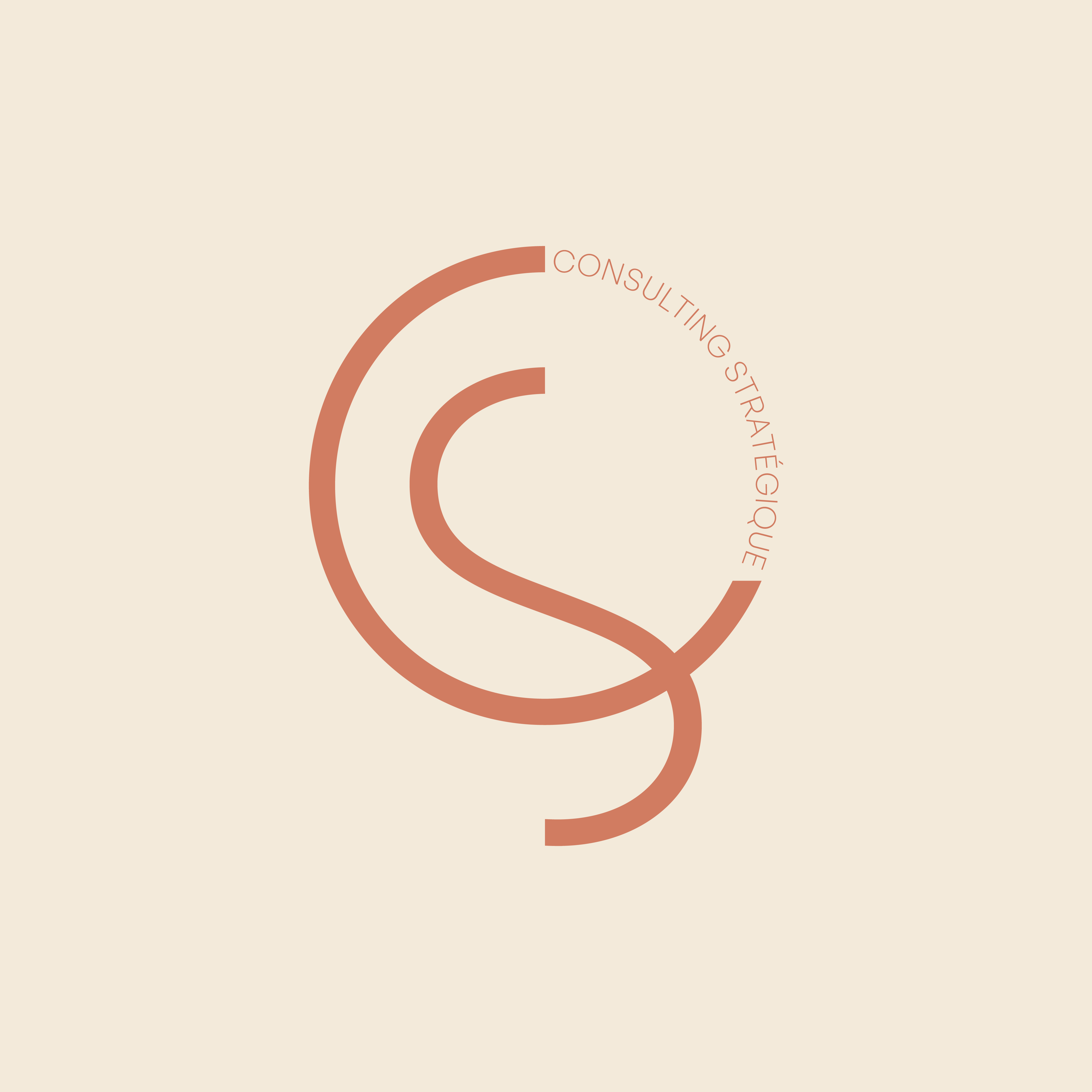 CS Consulting Stratégique